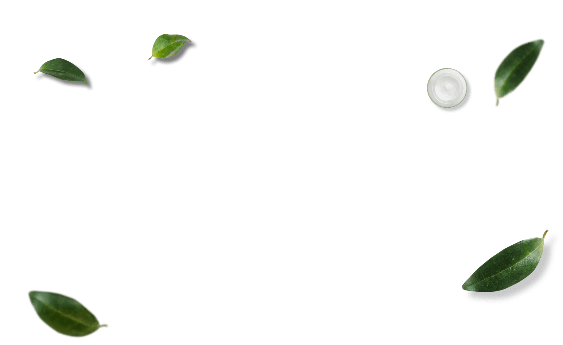 Background Leaves
